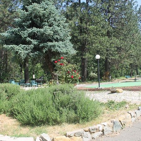 Golden Chain Motel Grass Valley Exterior foto